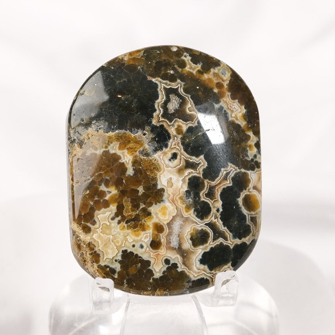 Orbicular Sea Jasper Palmstone