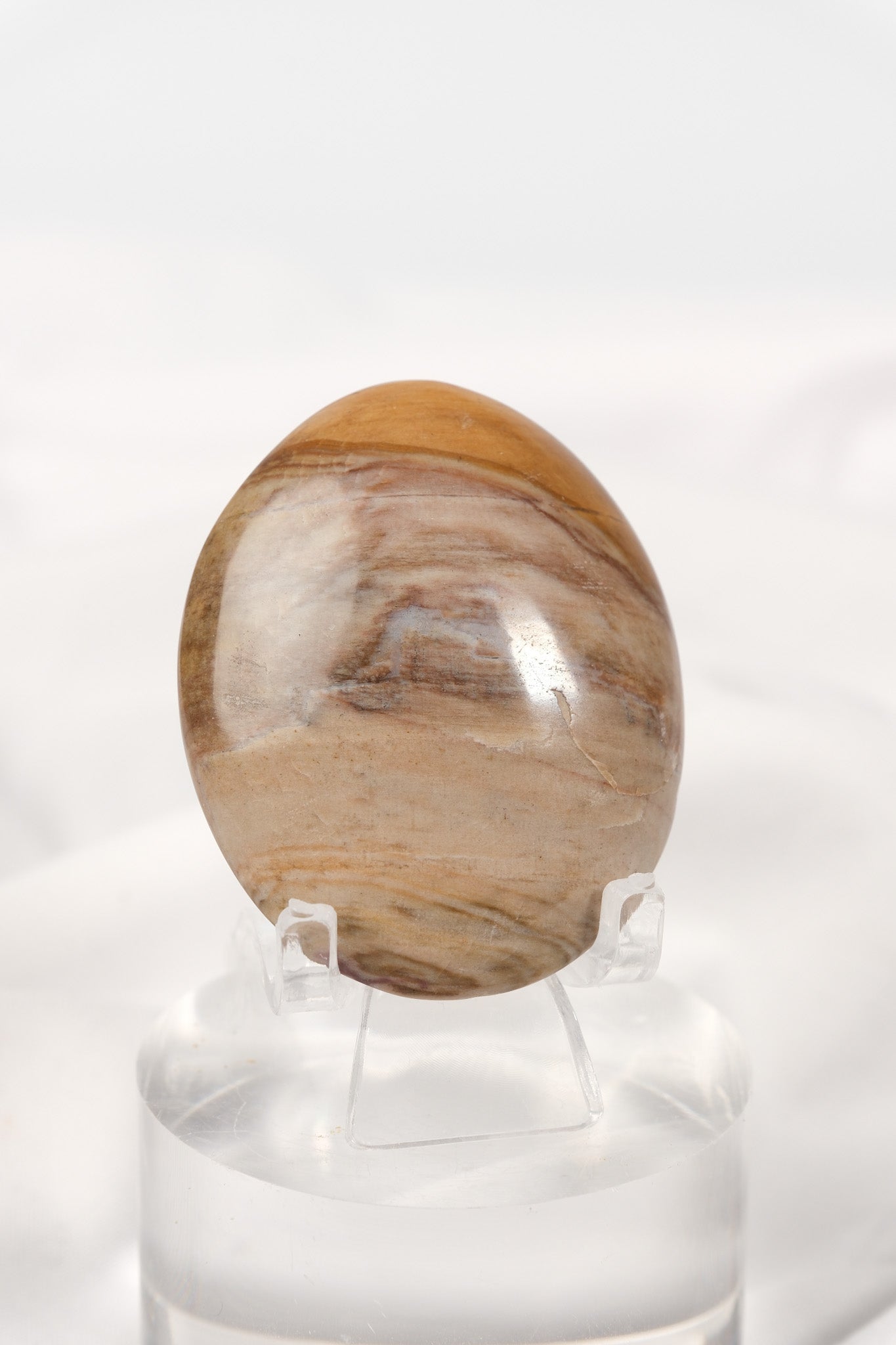 Petrified Wood Palmstone