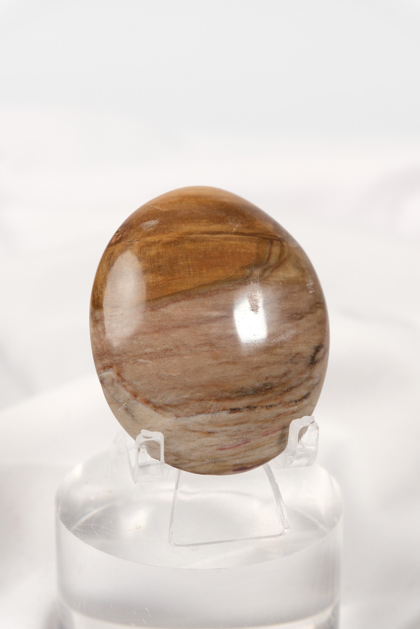 Petrified Wood Palmstone