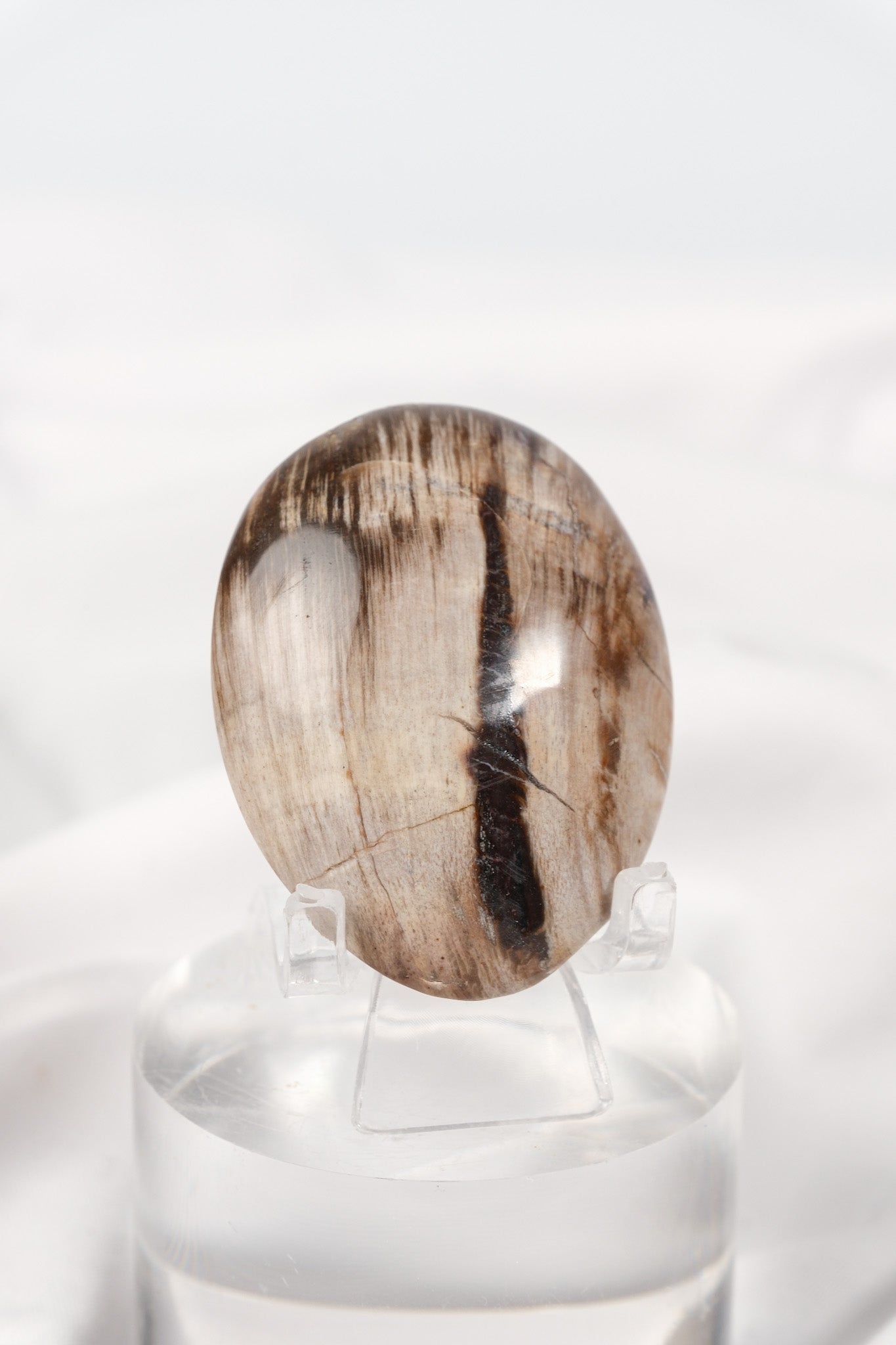 Petrified Wood Palmstone