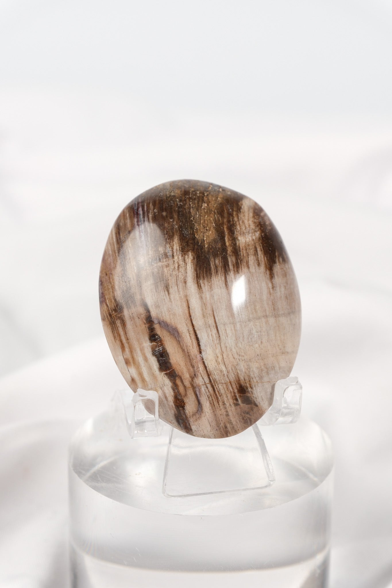 Petrified Wood Palmstone