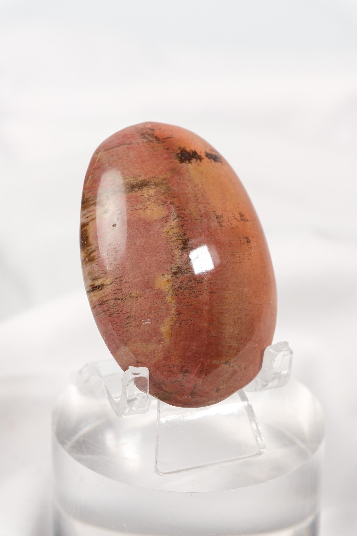 Petrified Wood Palmstone