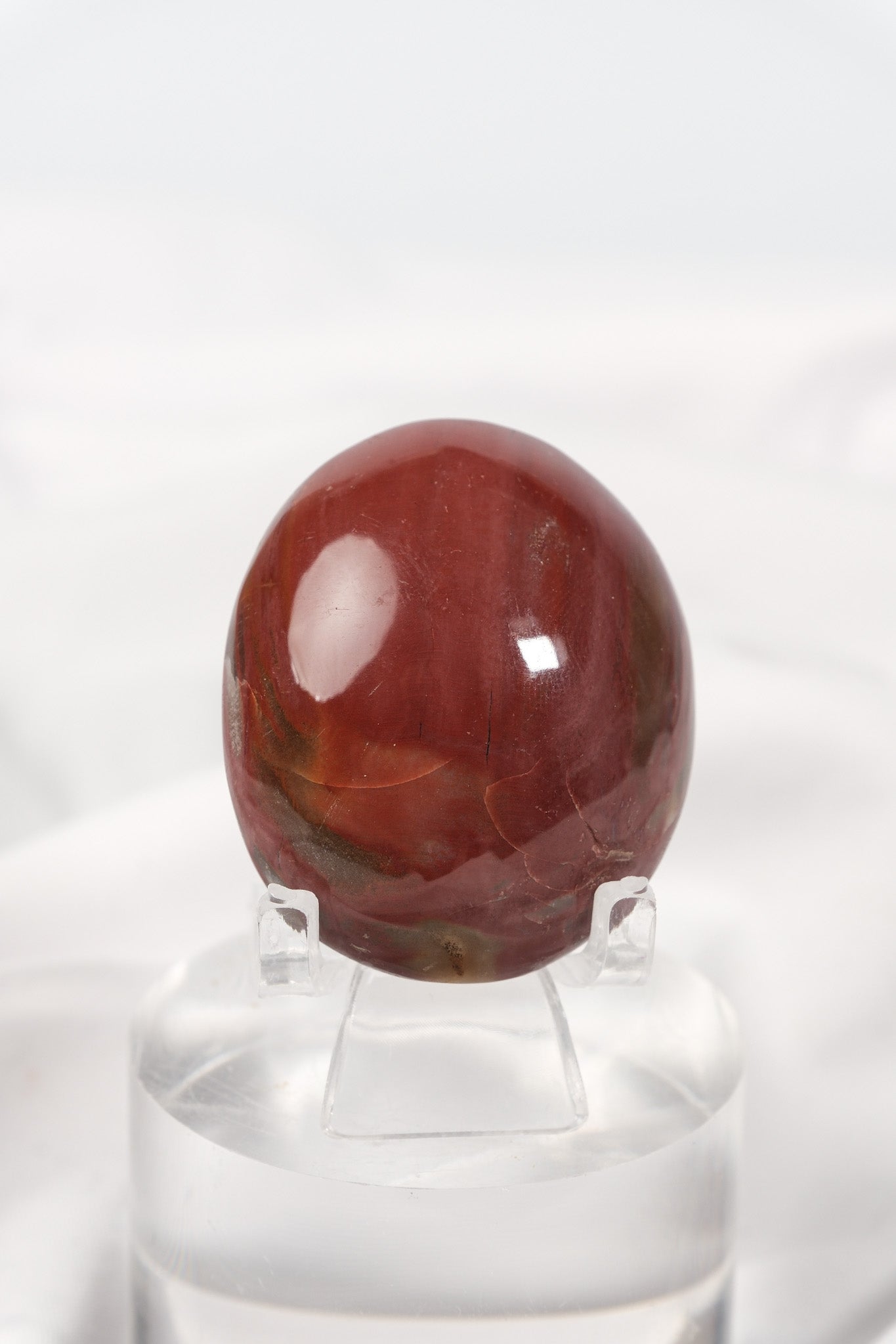 Petrified Wood Palmstone