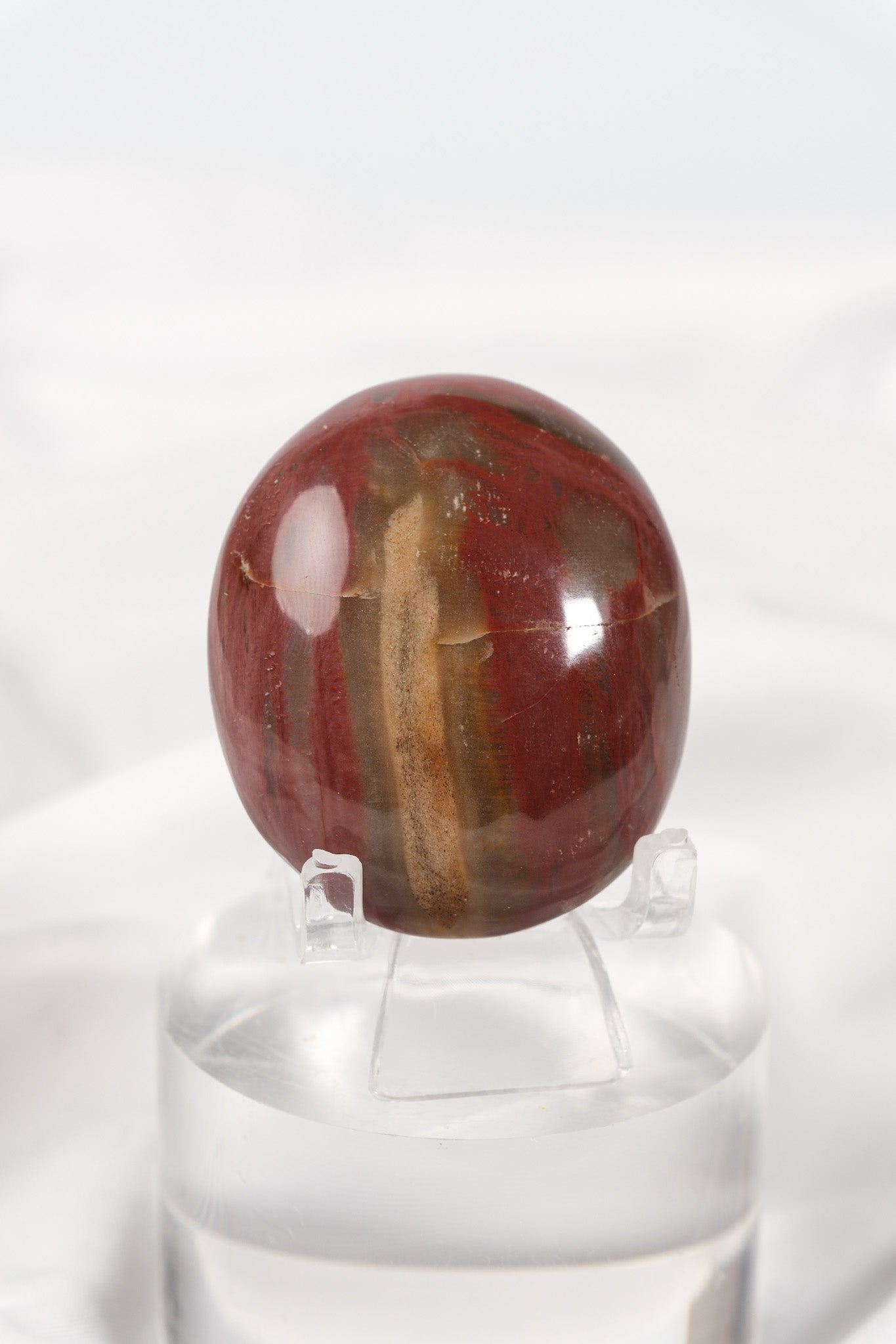 Petrified Wood Palmstone