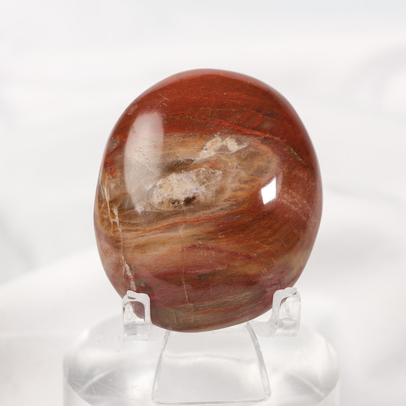 Petrified Wood Palmstone