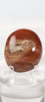 Petrified Wood Palmstone