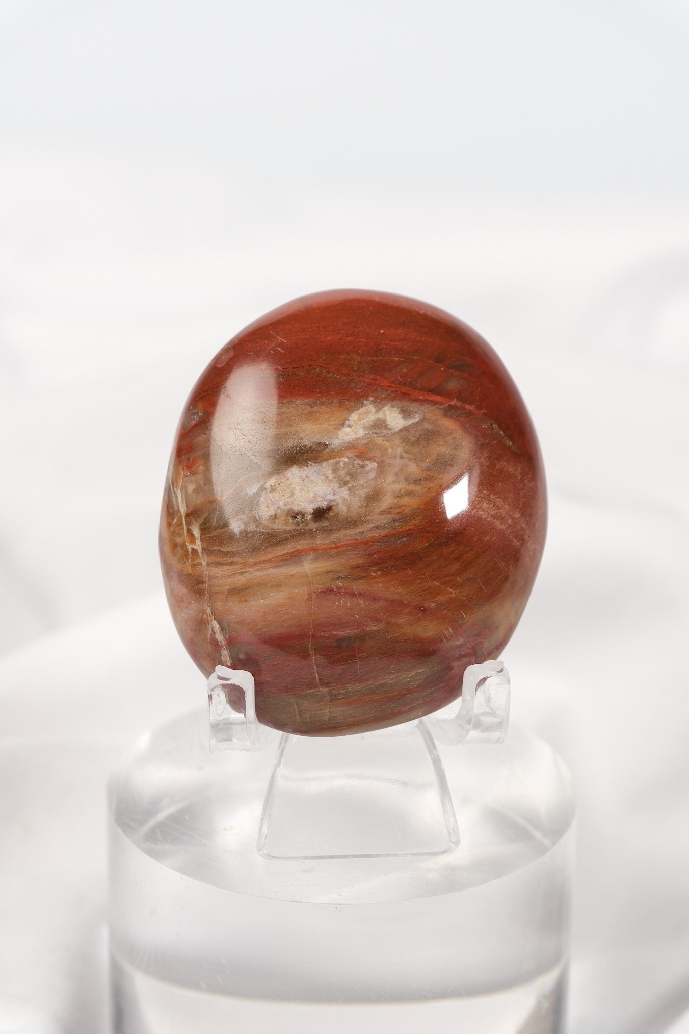 Petrified Wood Palmstone