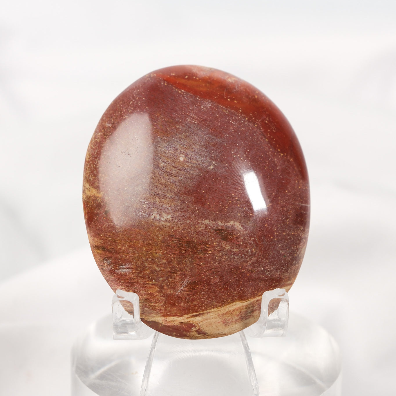 Petrified Wood Palmstone