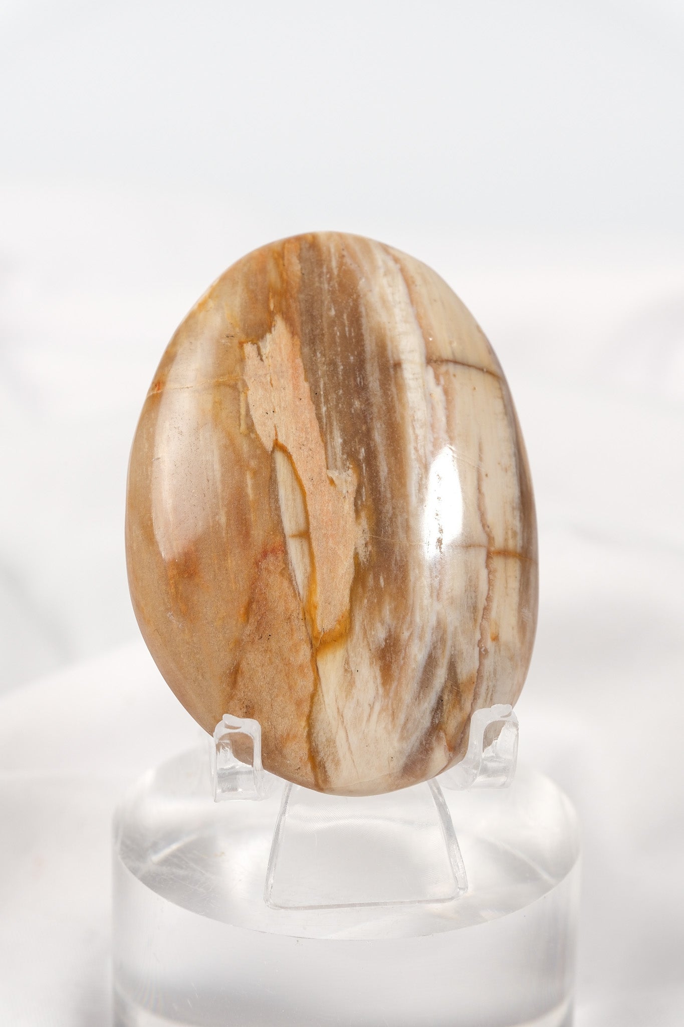 Petrified Wood Palmstone