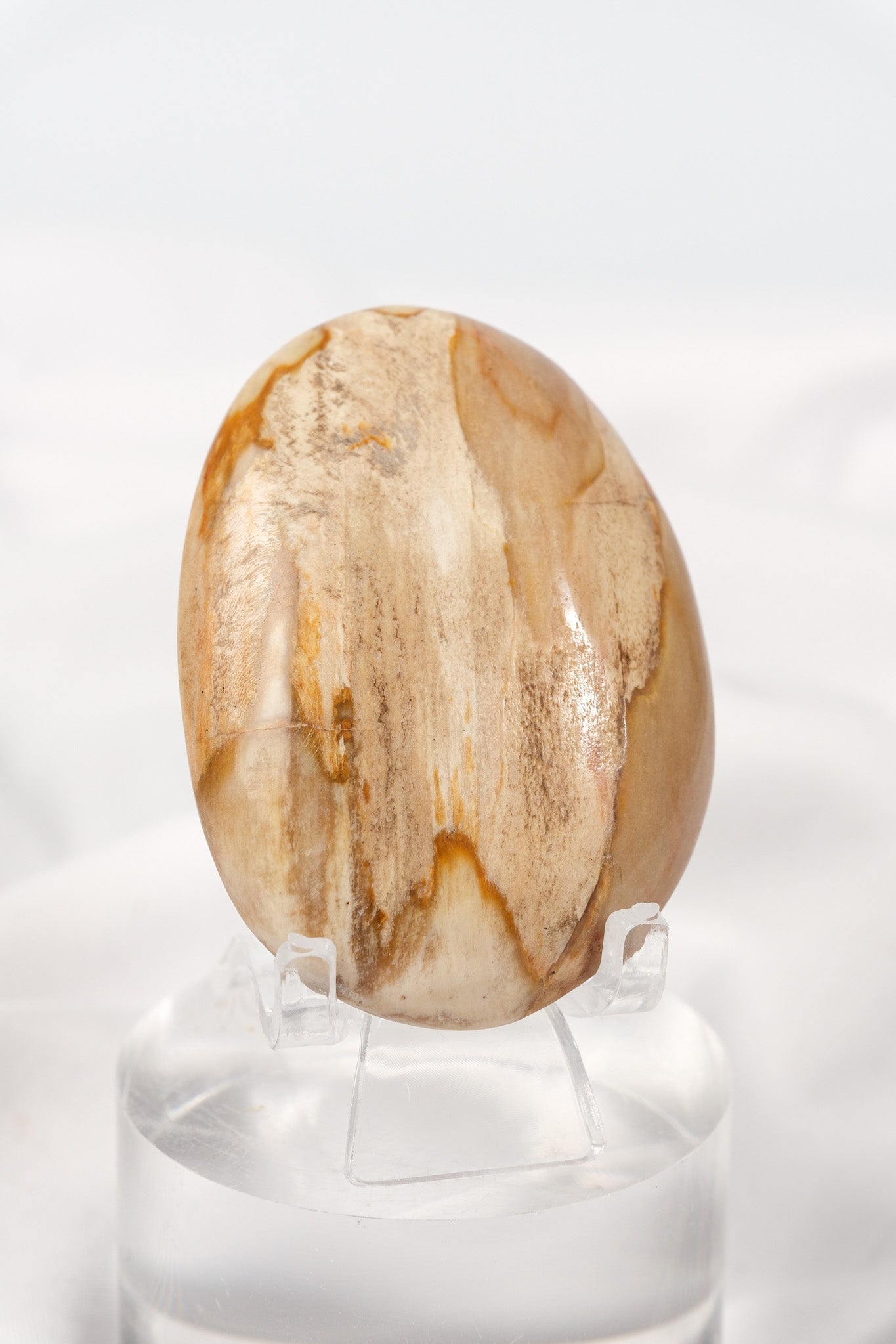 Petrified Wood Palmstone