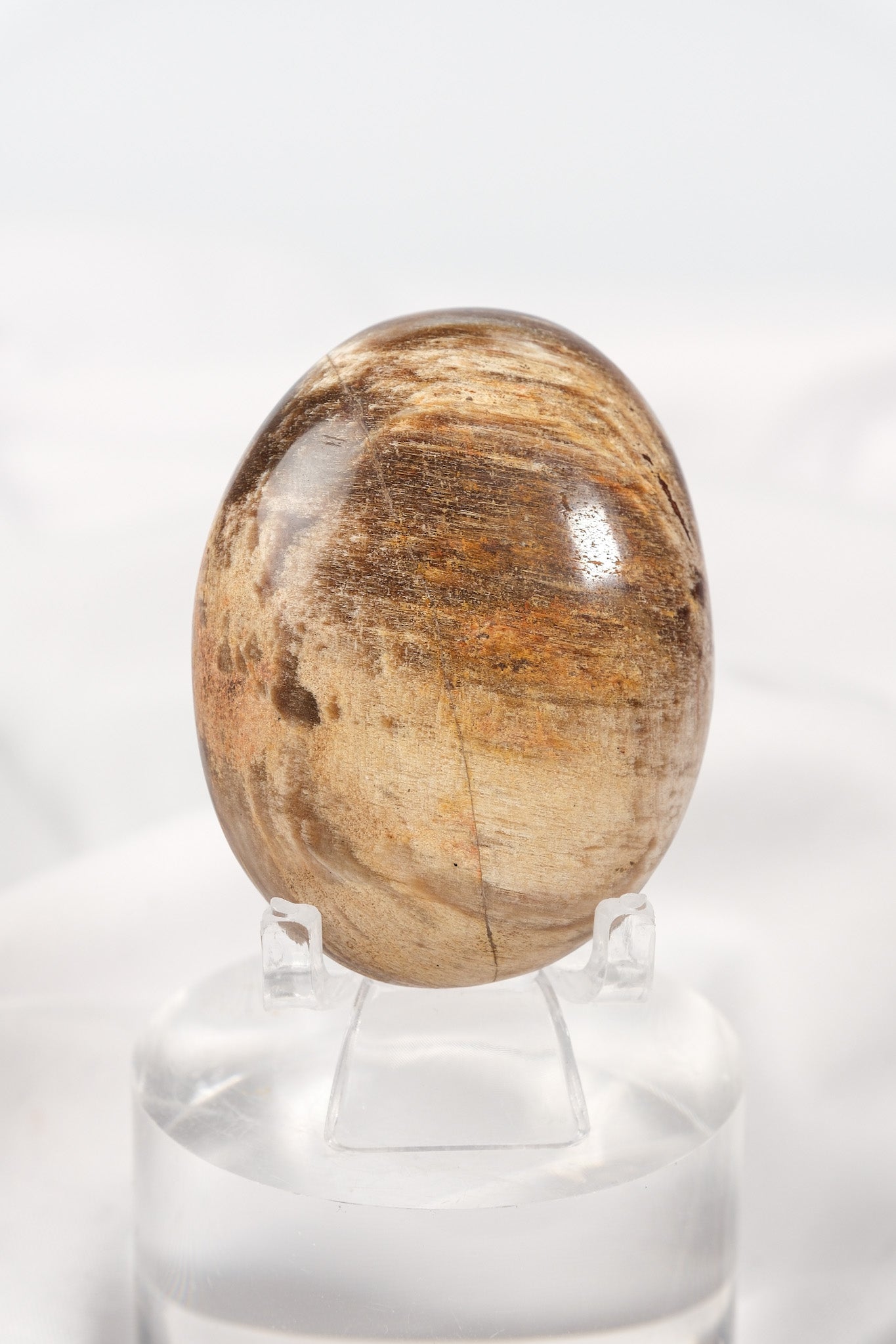 Petrified Wood Palmstone