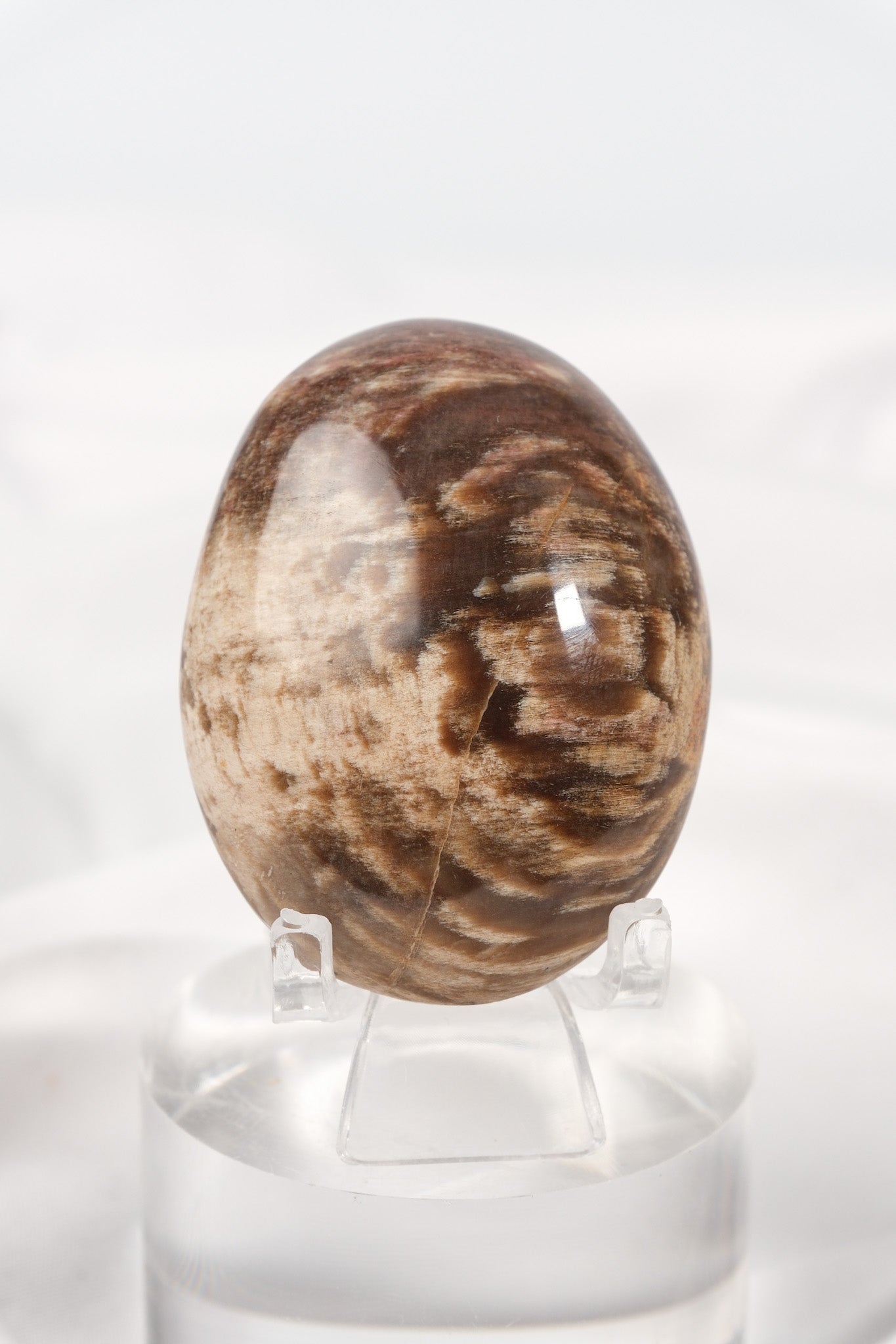 Petrified Wood Palmstone