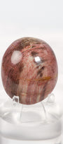 Petrified Wood Palmstone