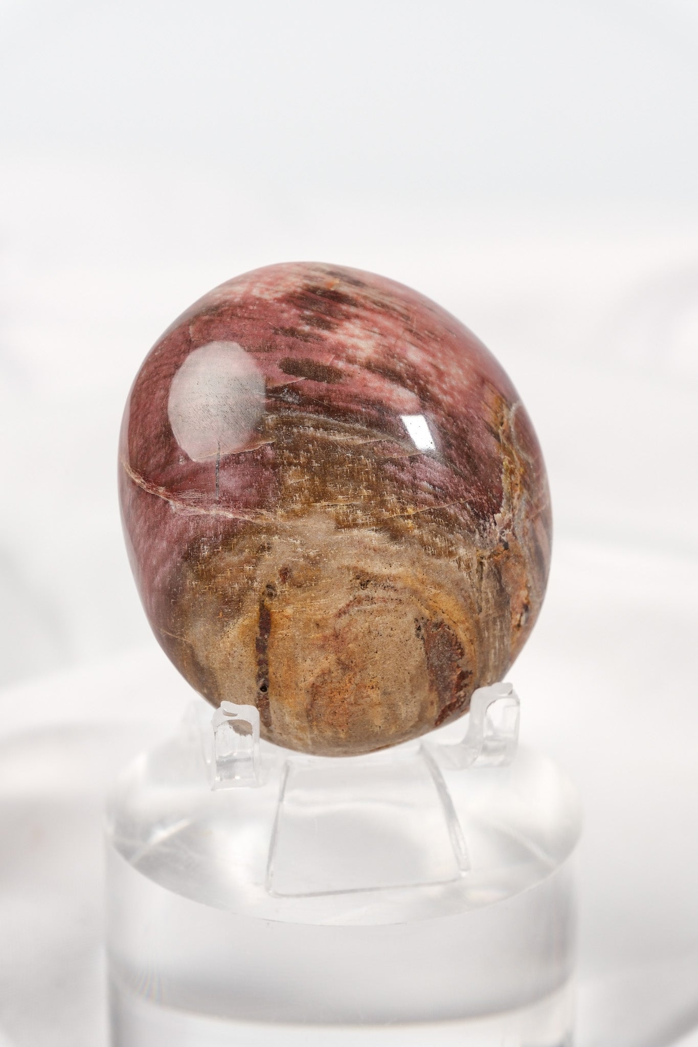 Petrified Wood Palmstone