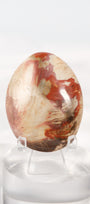 Petrified Wood Palmstone