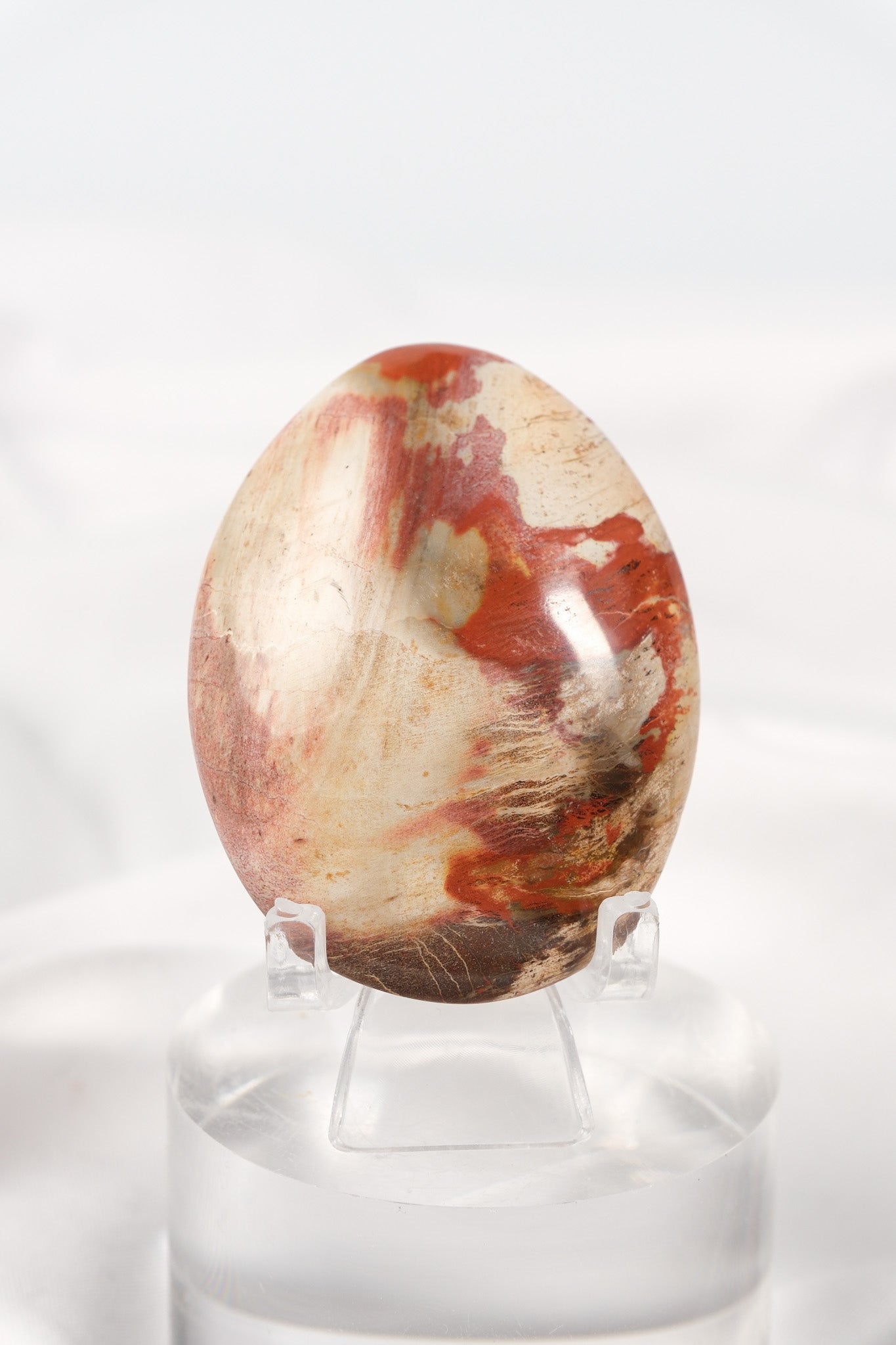 Petrified Wood Palmstone