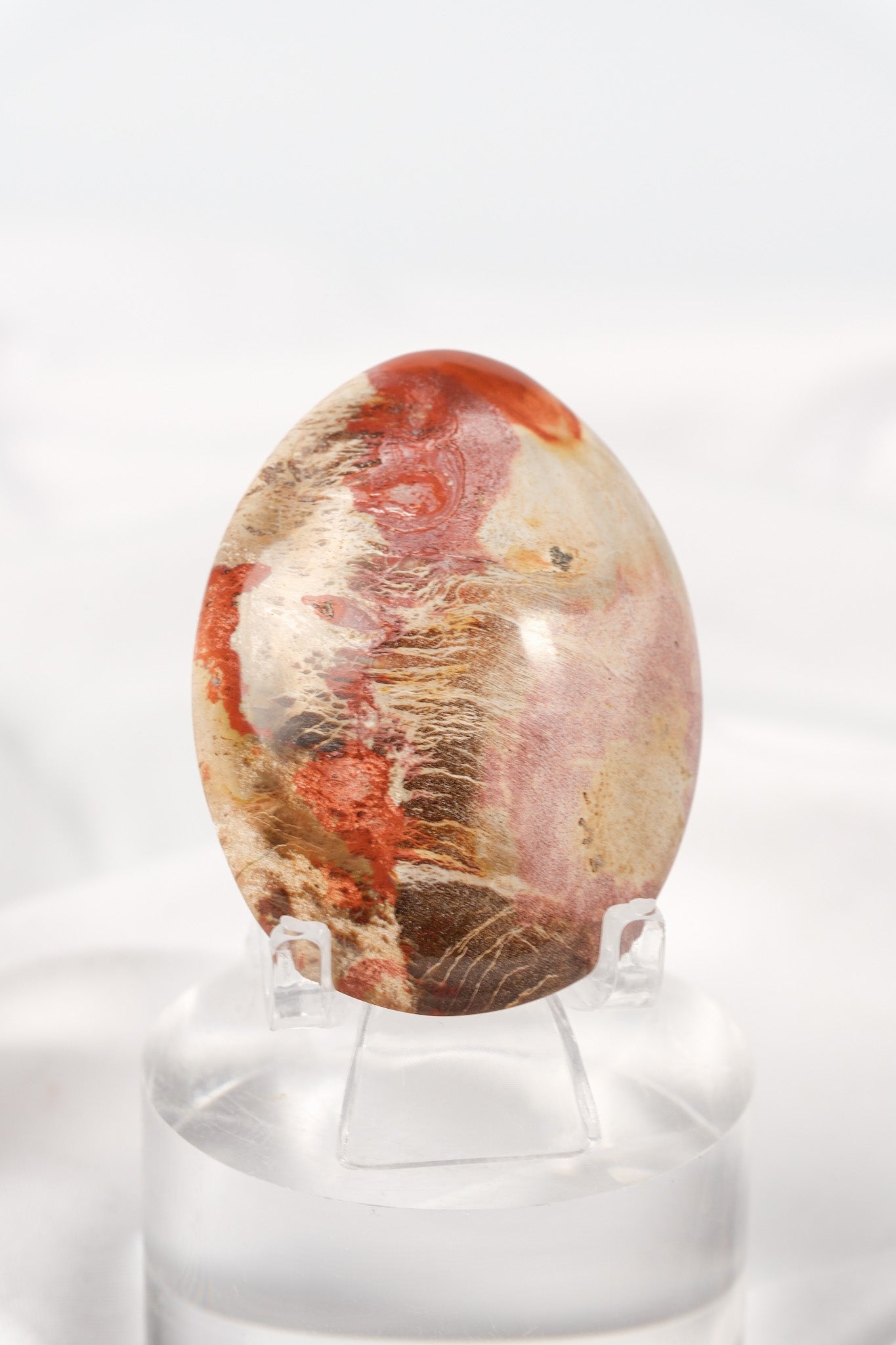 Petrified Wood Palmstone