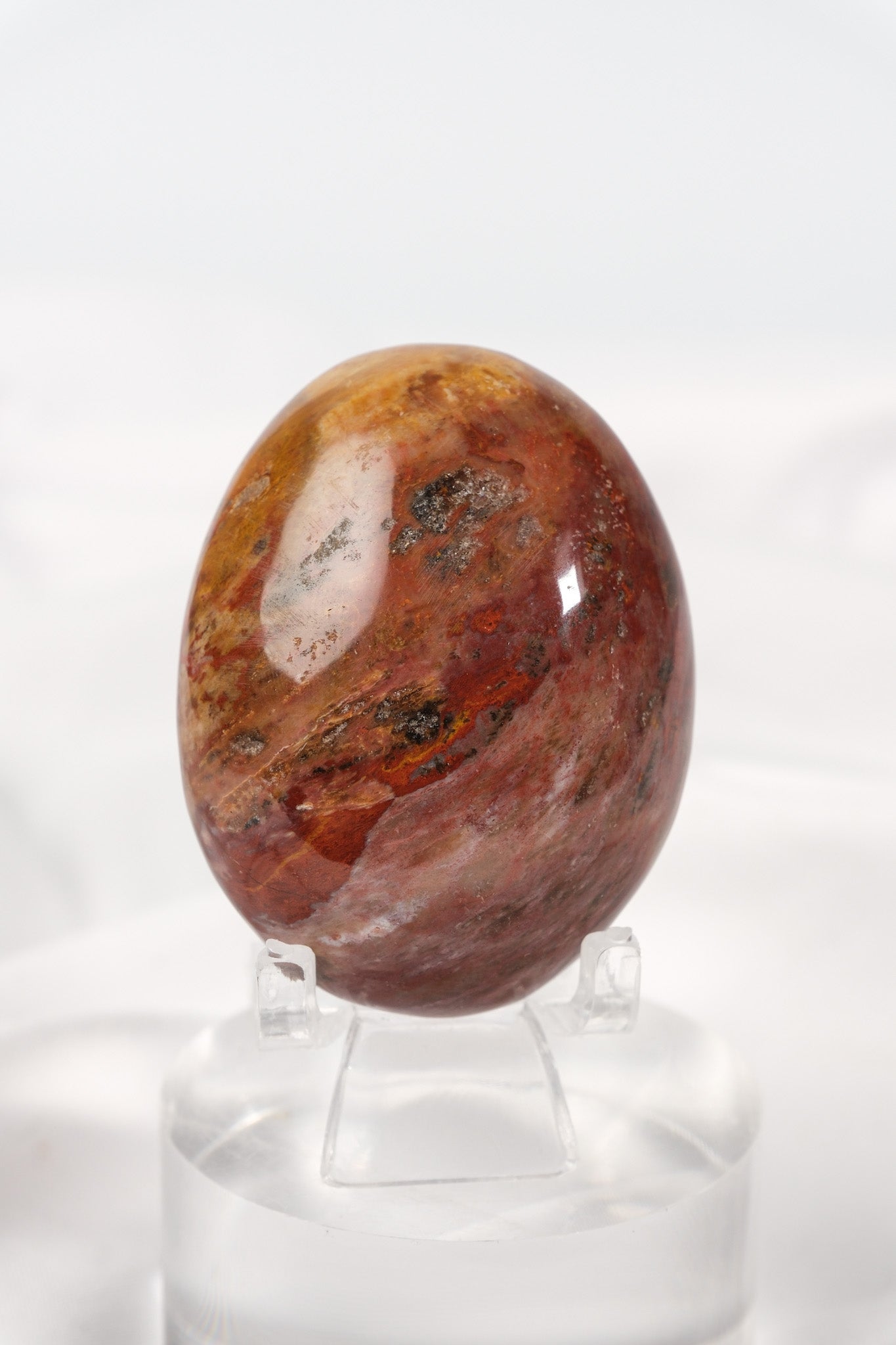 Petrified Wood Palmstone