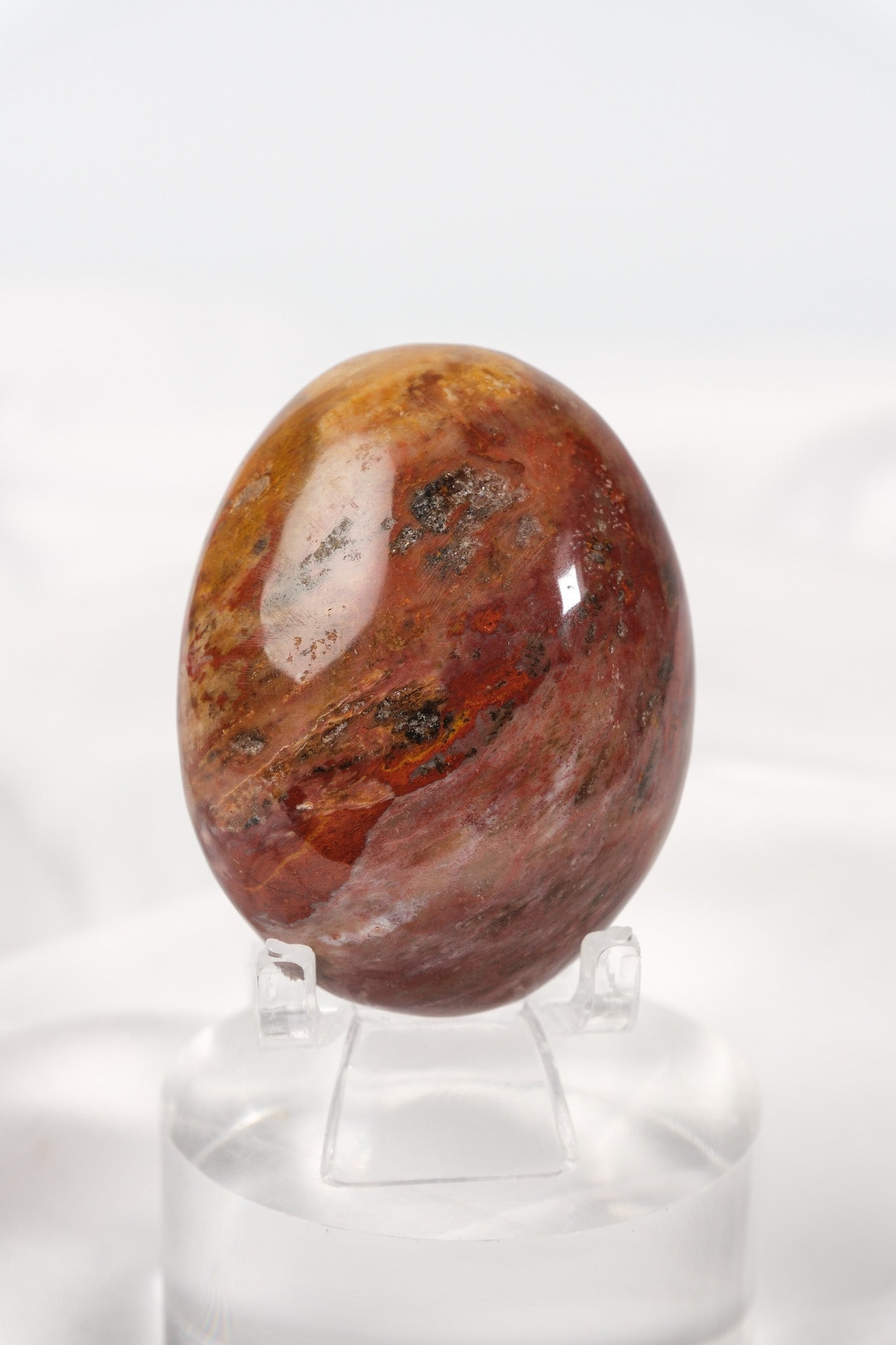 Petrified Wood Palmstone