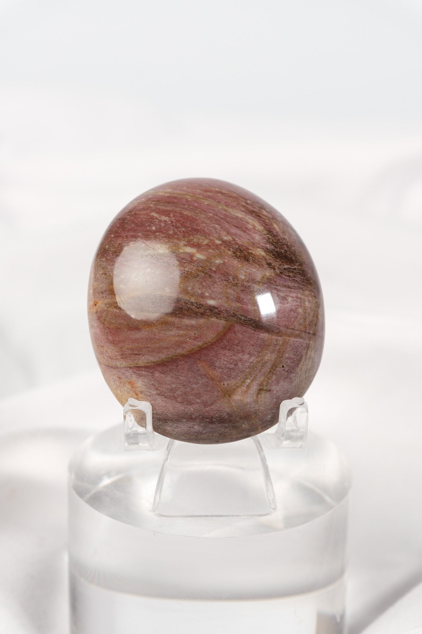 Petrified Wood Palmstone