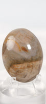 Petrified Wood Palmstone