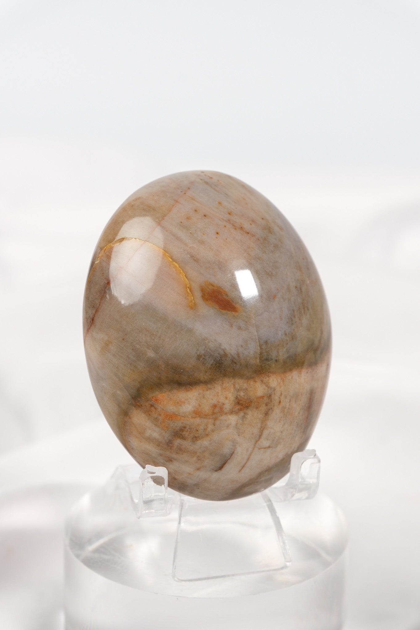 Petrified Wood Palmstone