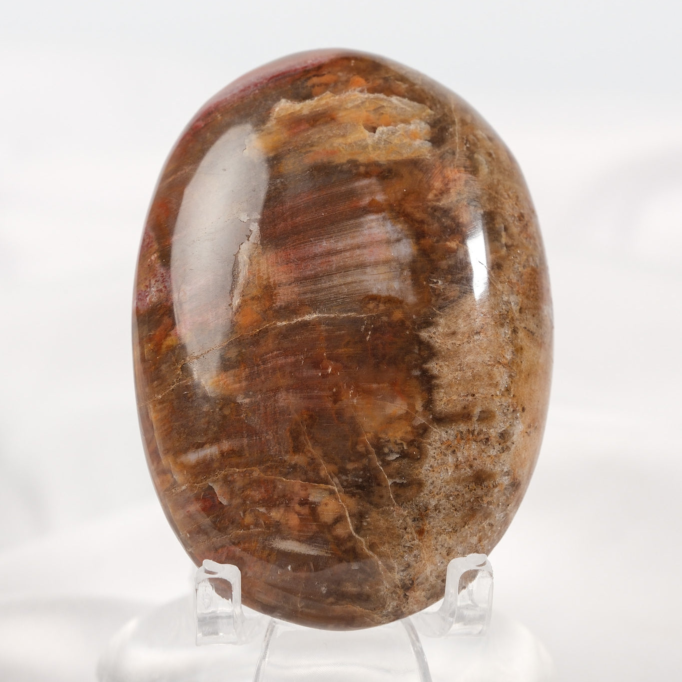 Petrified Wood Palmstone