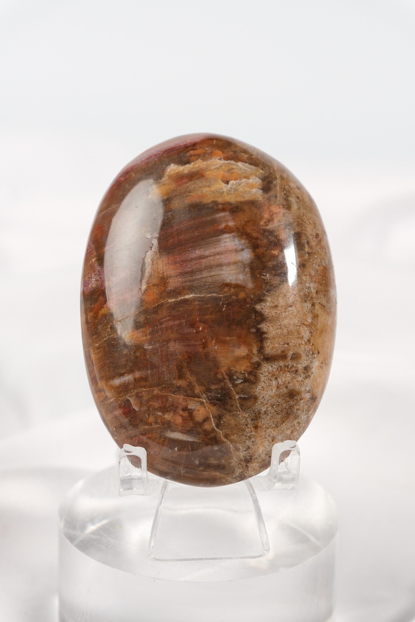Petrified Wood Palmstone