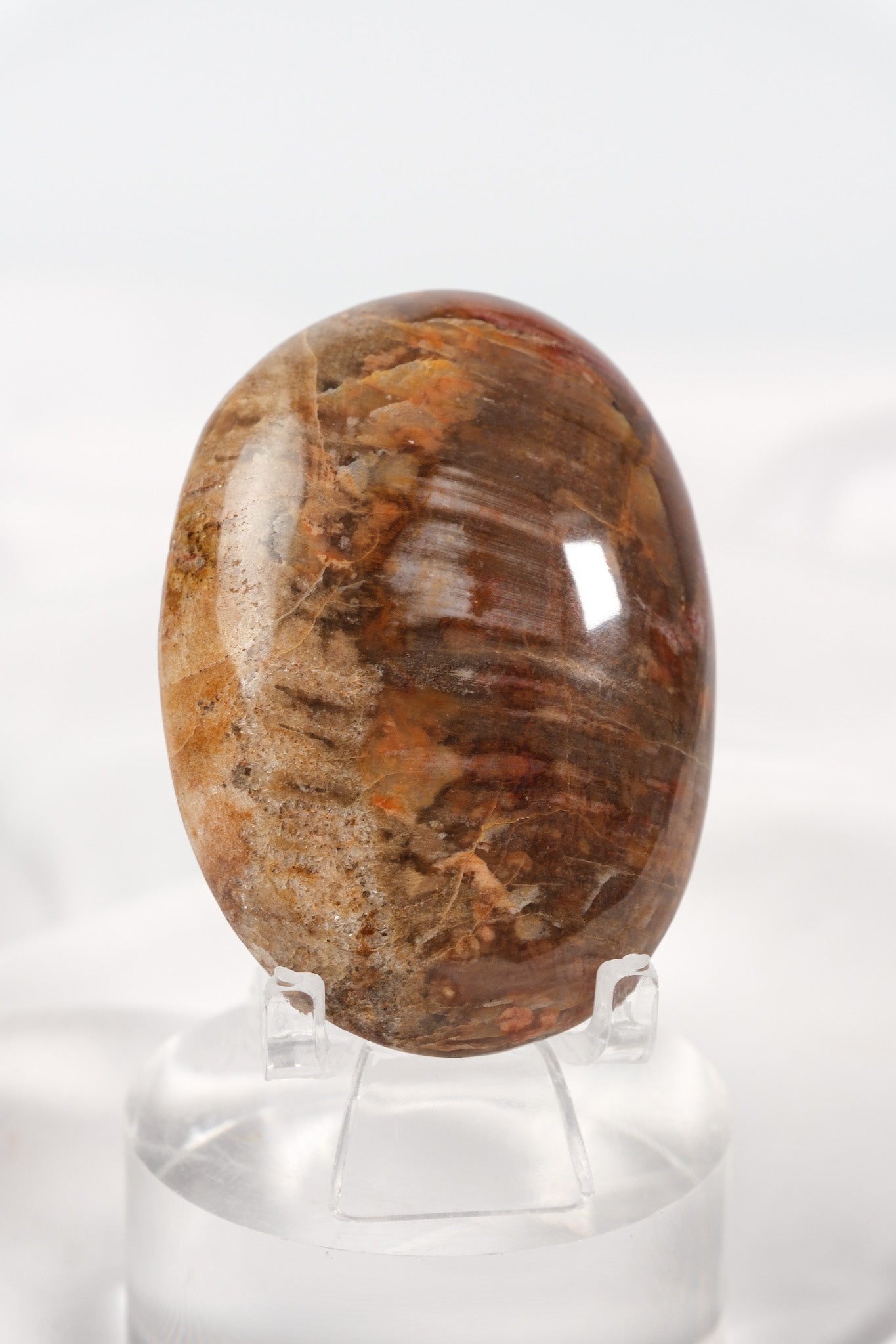 Petrified Wood Palmstone