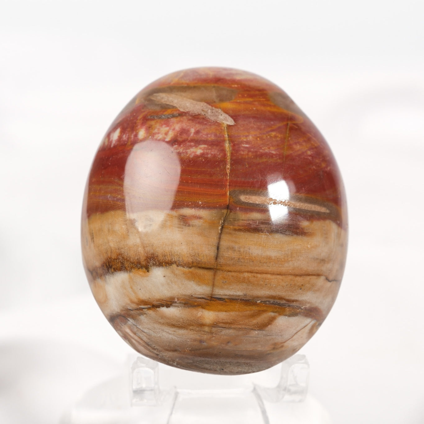 Petrified Wood Palmstone