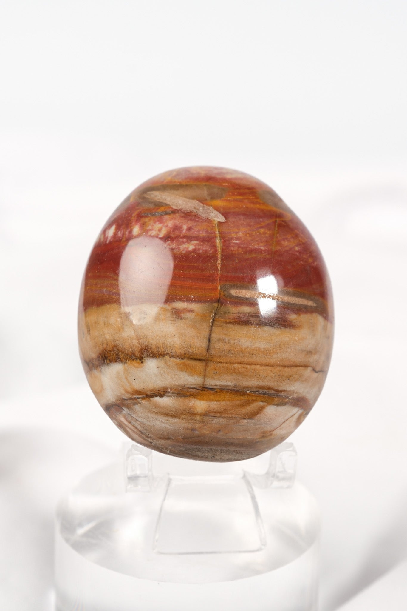 Petrified Wood Palmstone