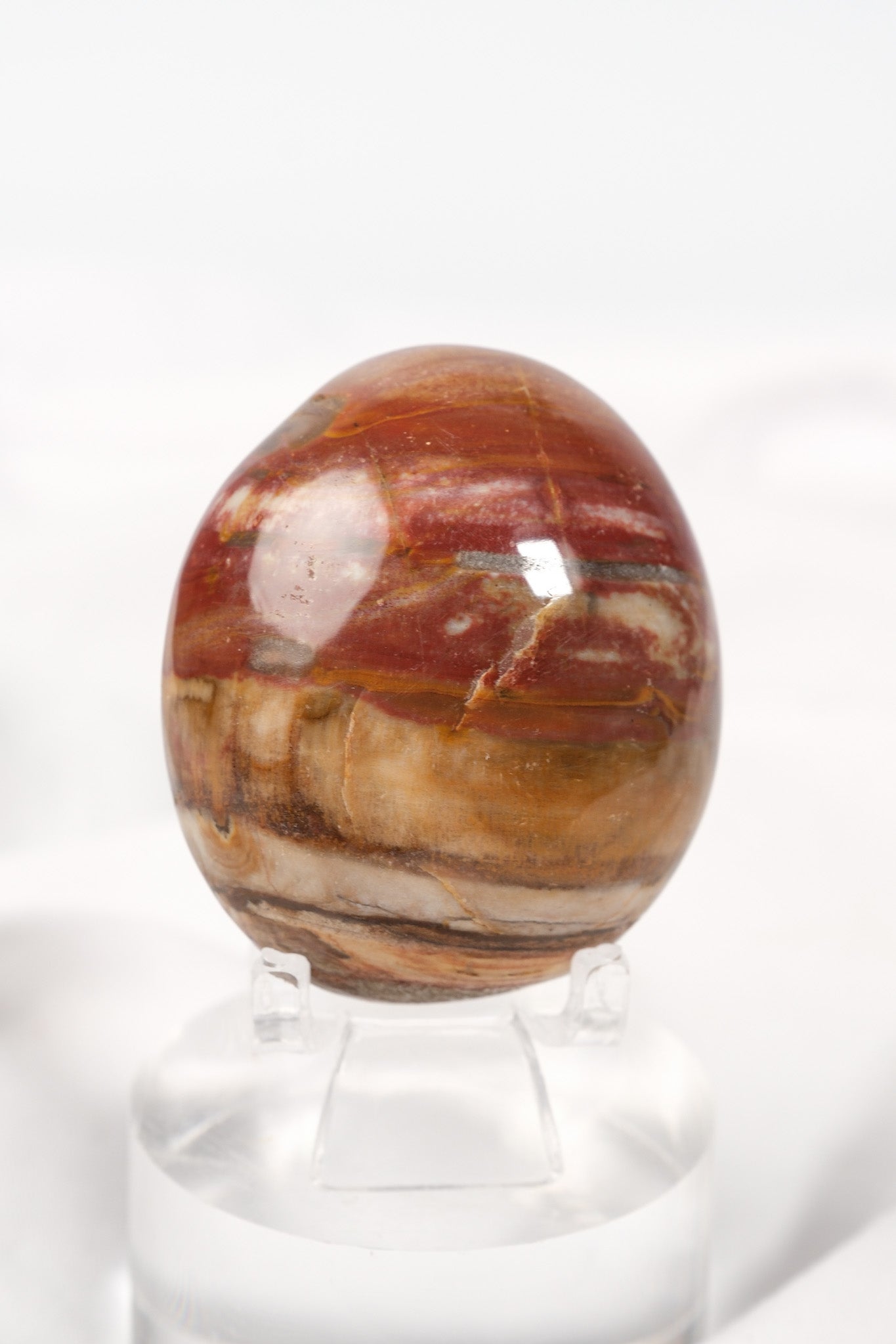 Petrified Wood Palmstone