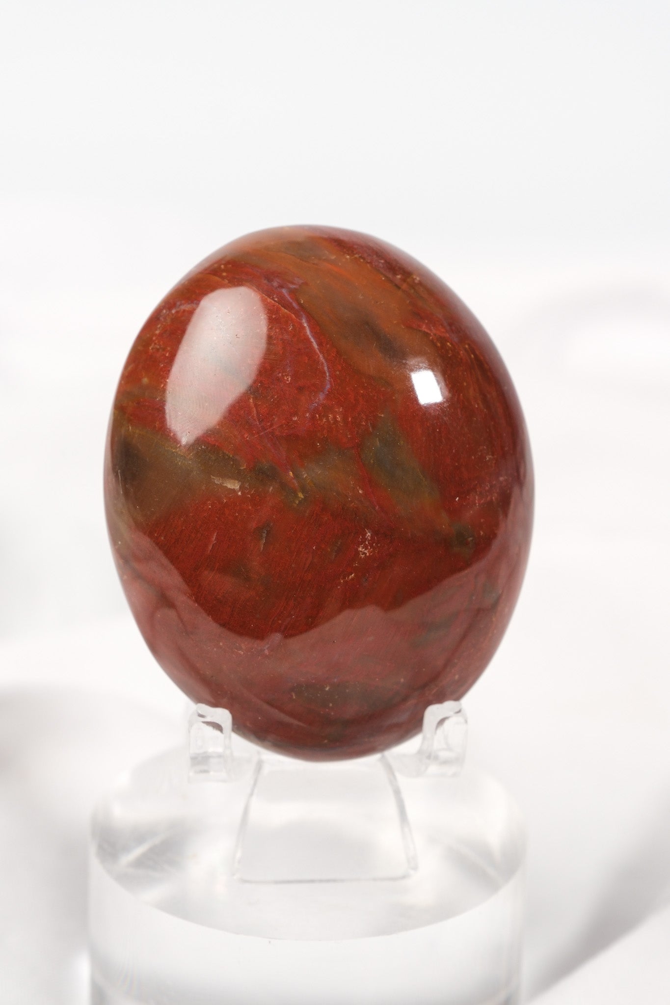 Petrified Wood Palmstone