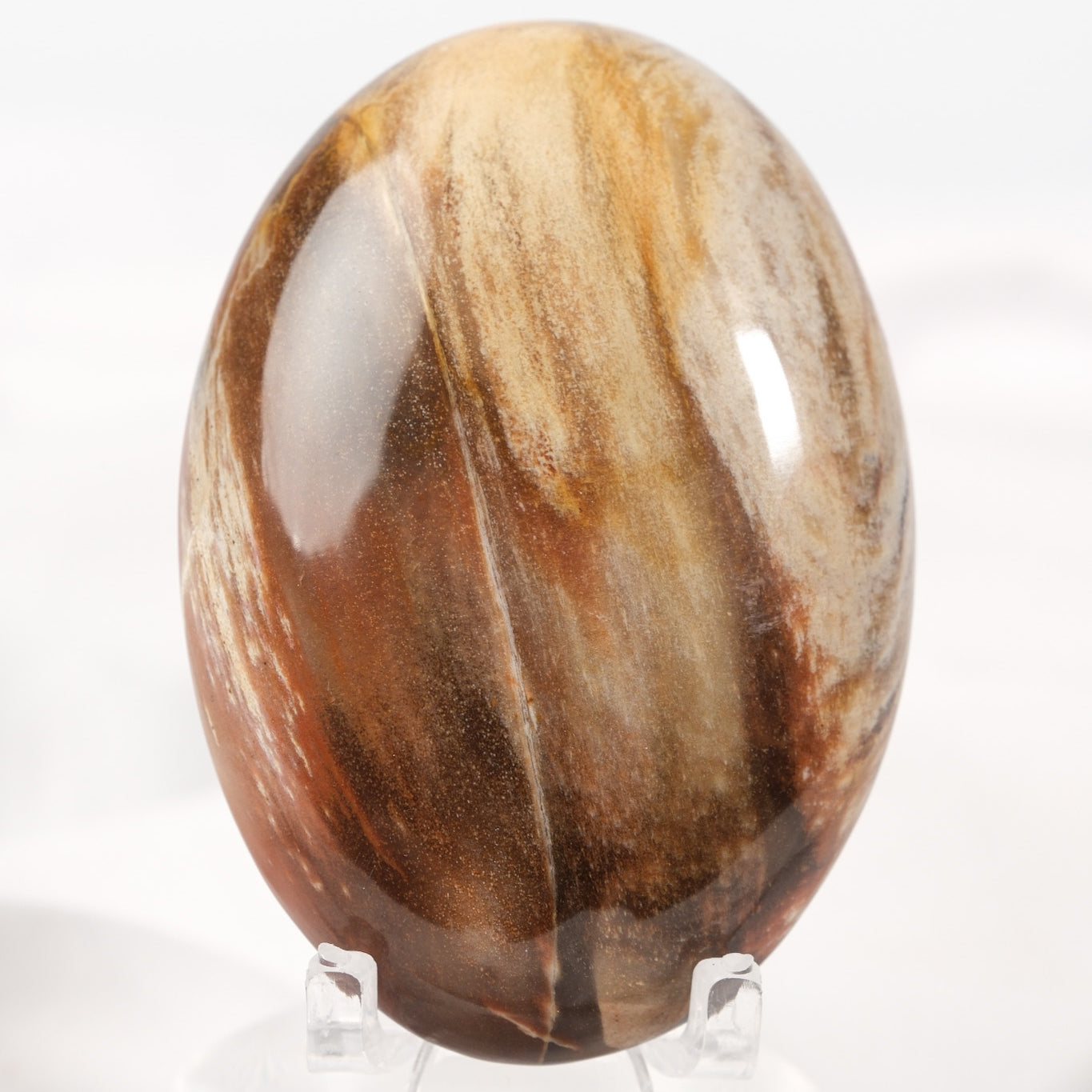Petrified Wood Palmstone