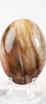 Petrified Wood Palmstone