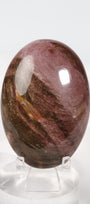 Petrified Wood Palmstone