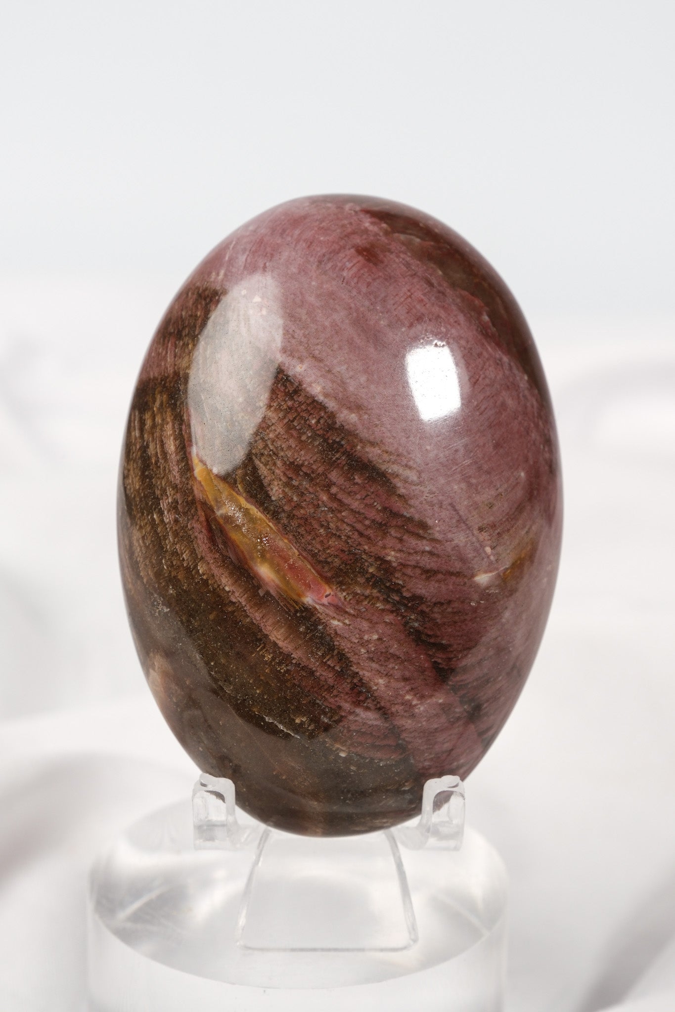 Petrified Wood Palmstone