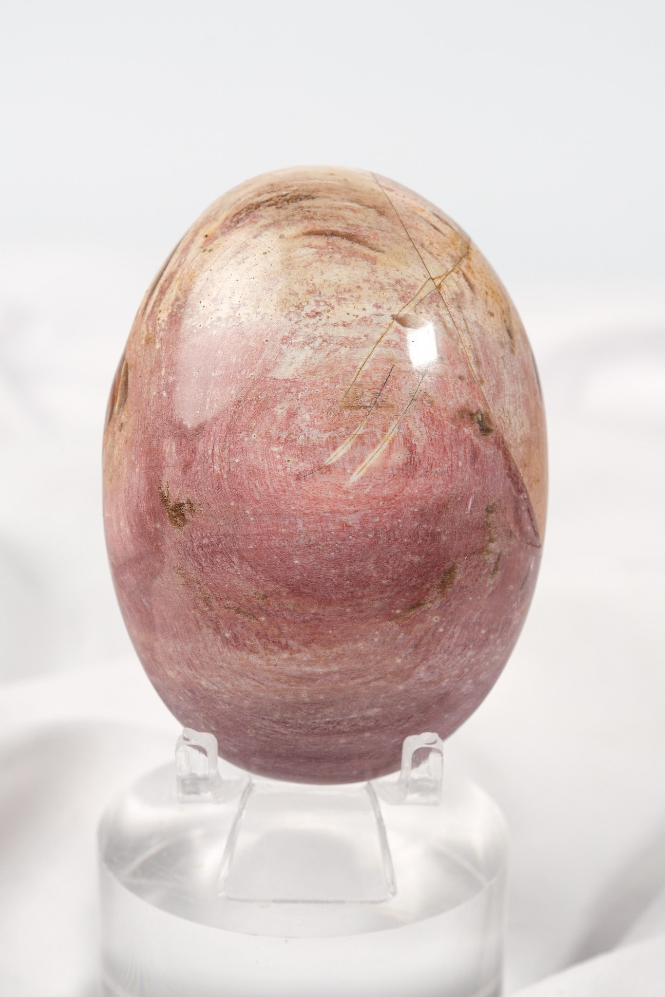 Petrified Wood Palmstone