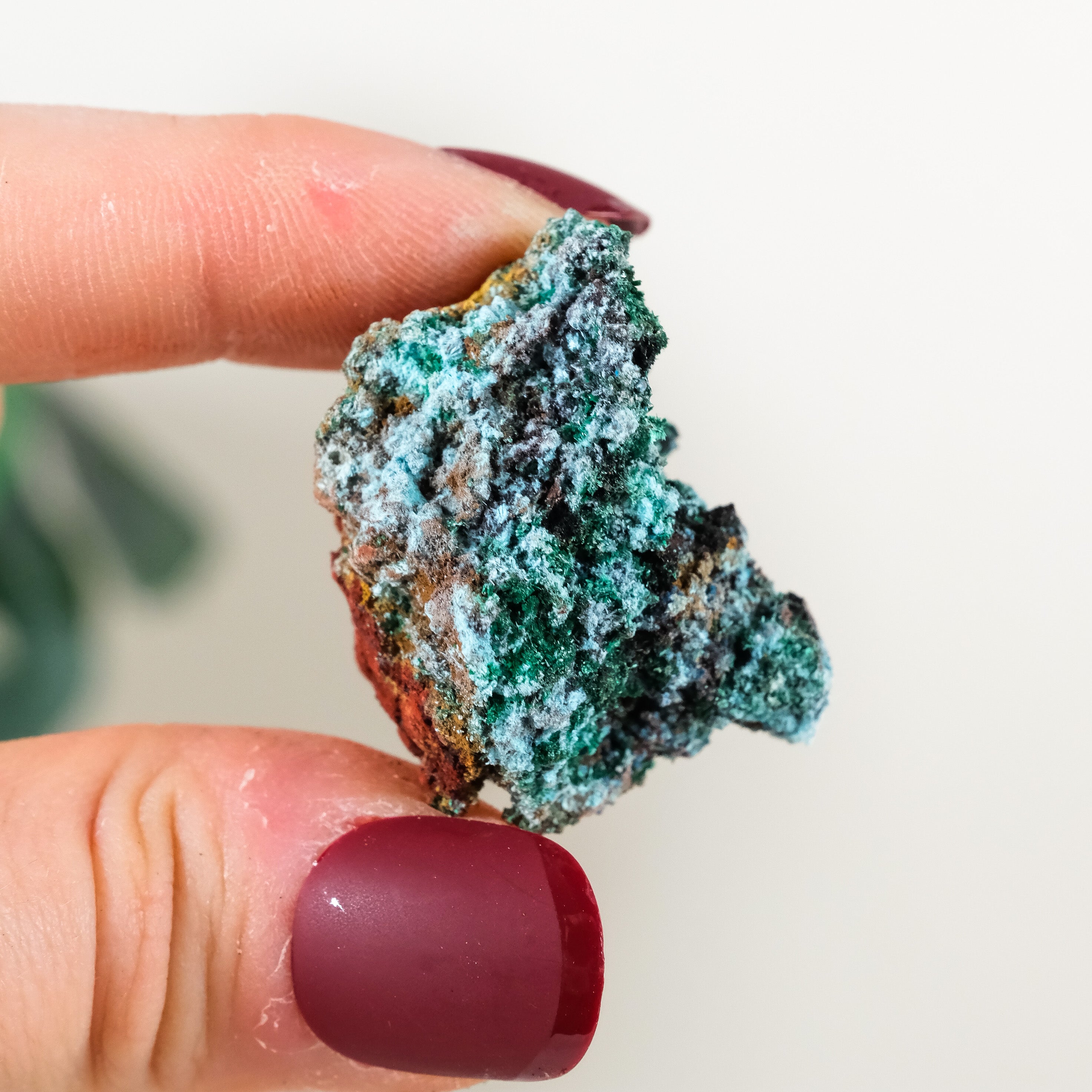 Malachite, Chrysocolla & Azurite Raw Specimen