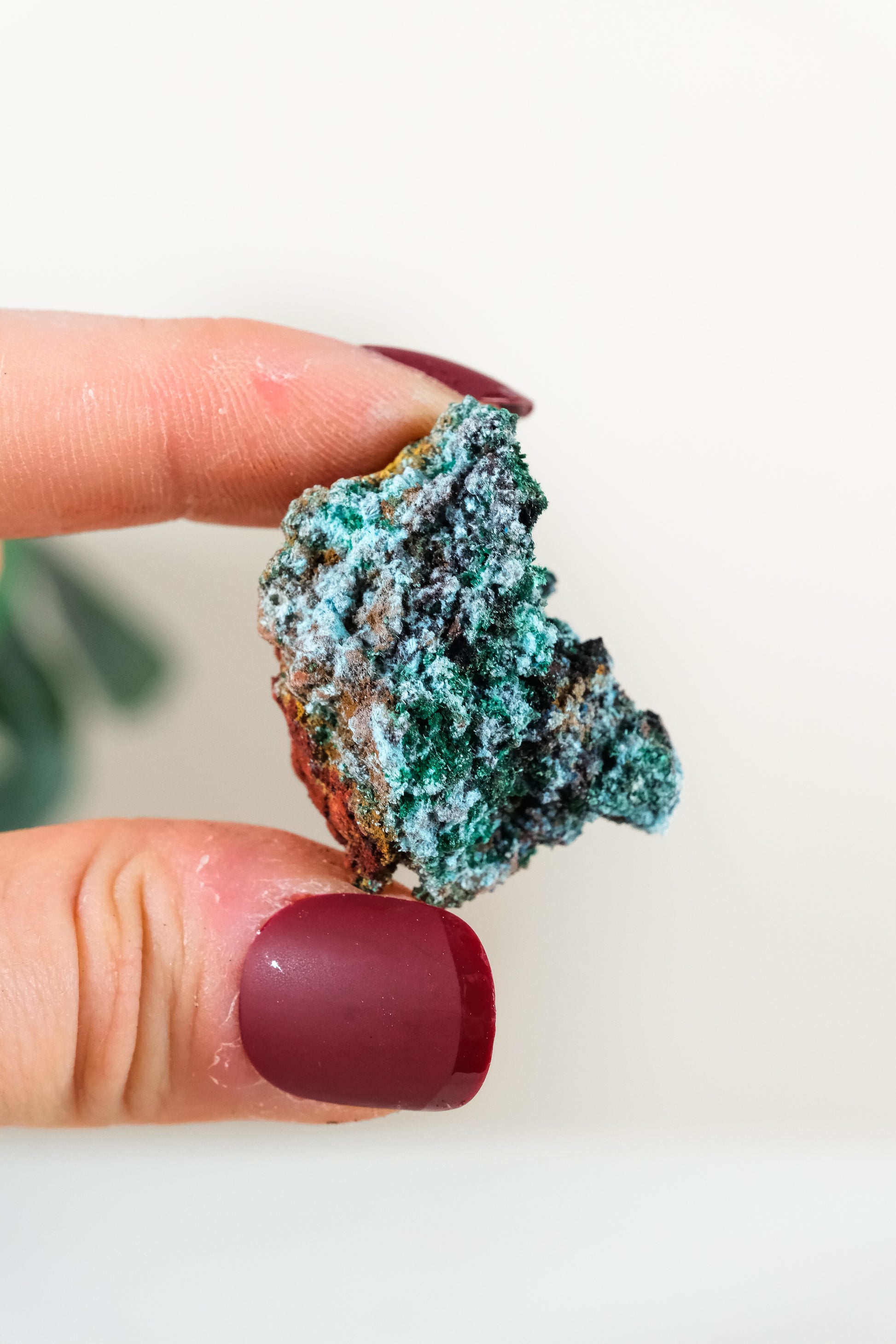 Malachite, Chrysocolla & Azurite Raw Specimen
