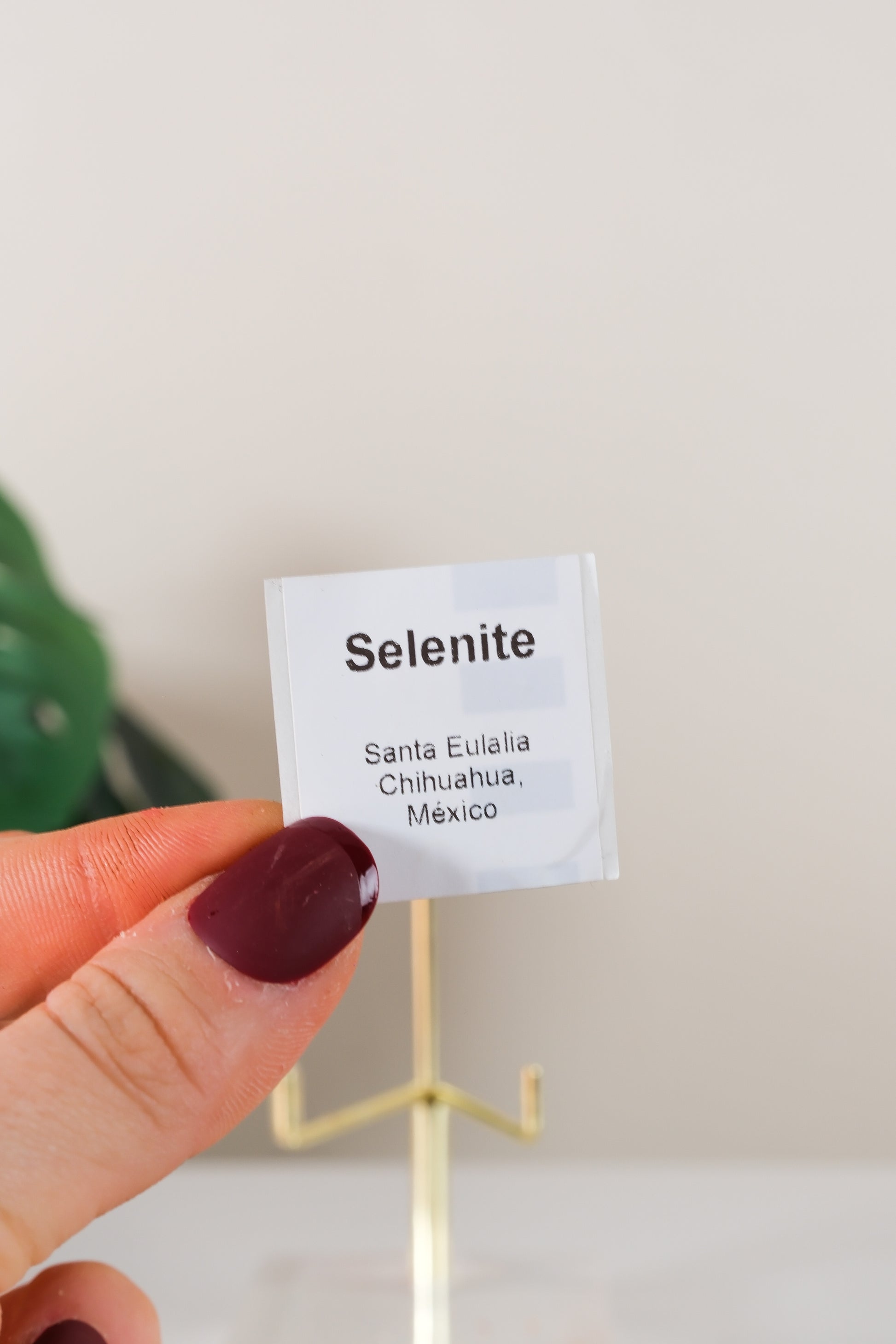 Selenite with Cinnabar Specimen