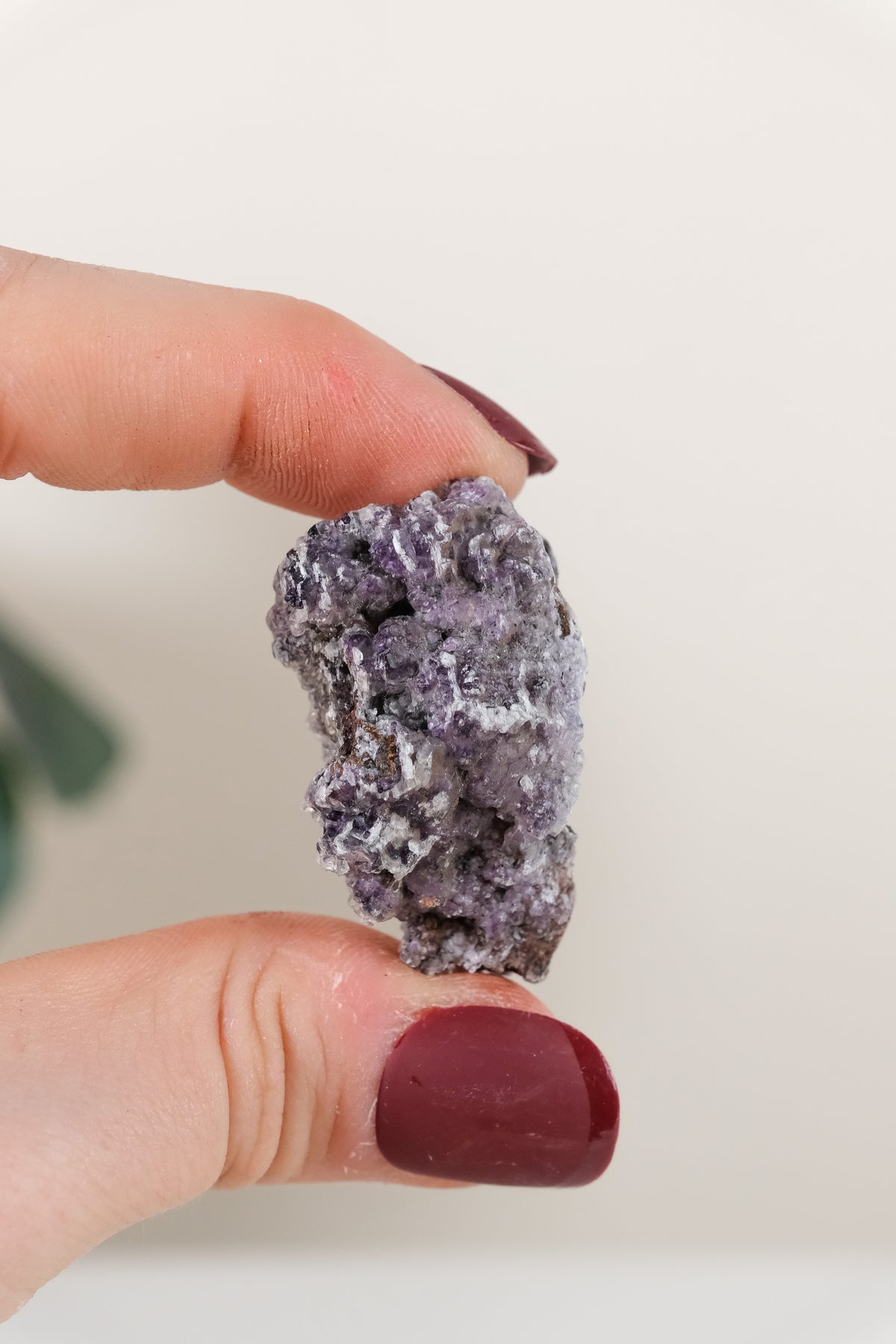Potosi Fluorite Raw Specimen
