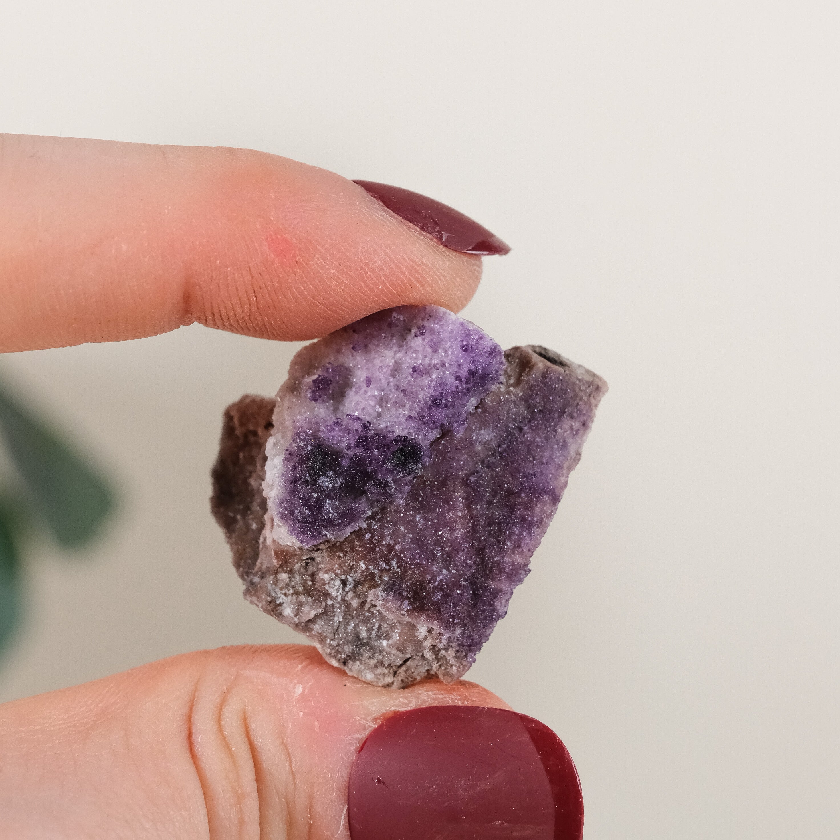 Potosi Fluorite Raw Specimen