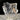 Transparent Selenite Slab Healing Crystal.