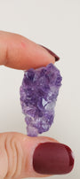 Amethyst Cluster