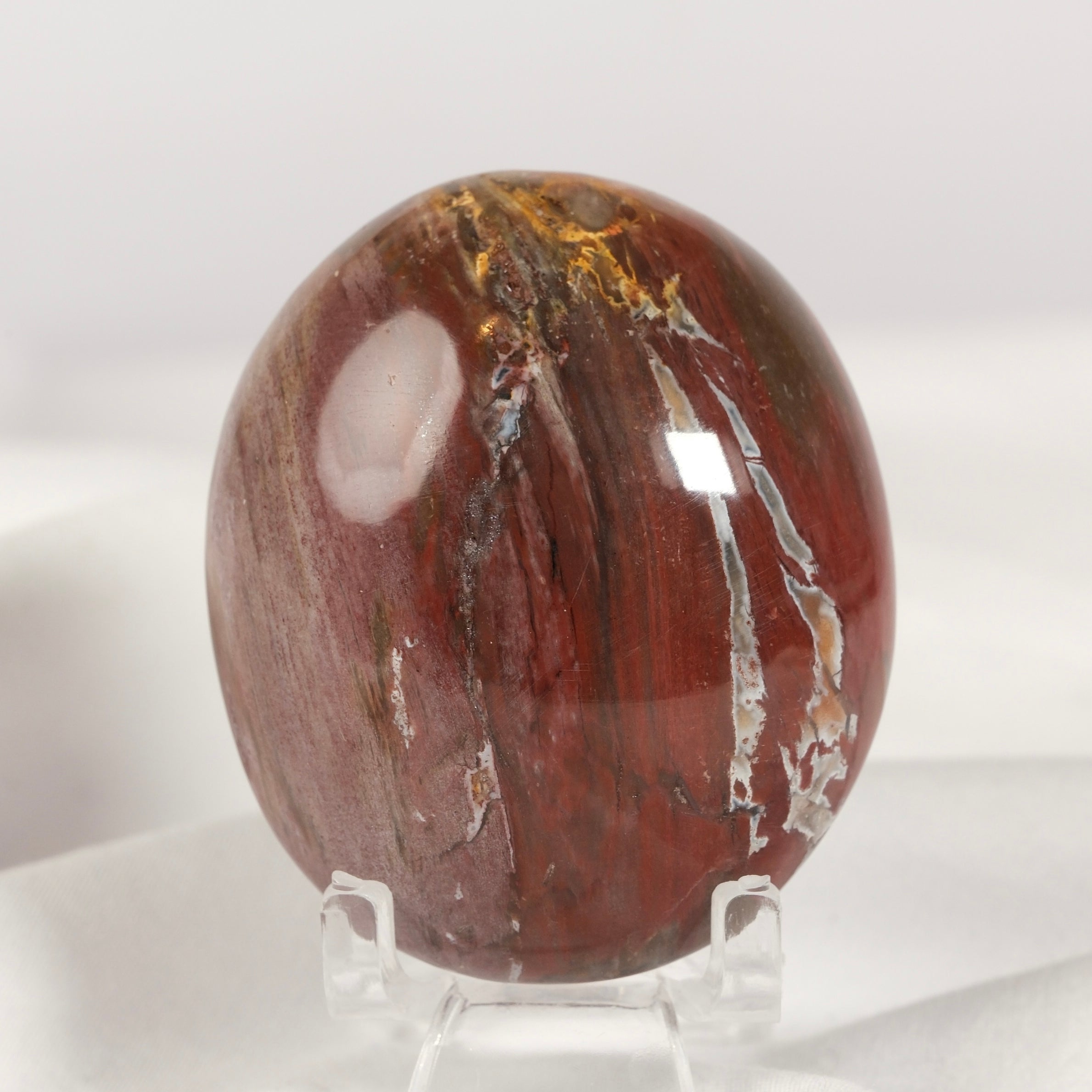 Petrified Wood Palmstone