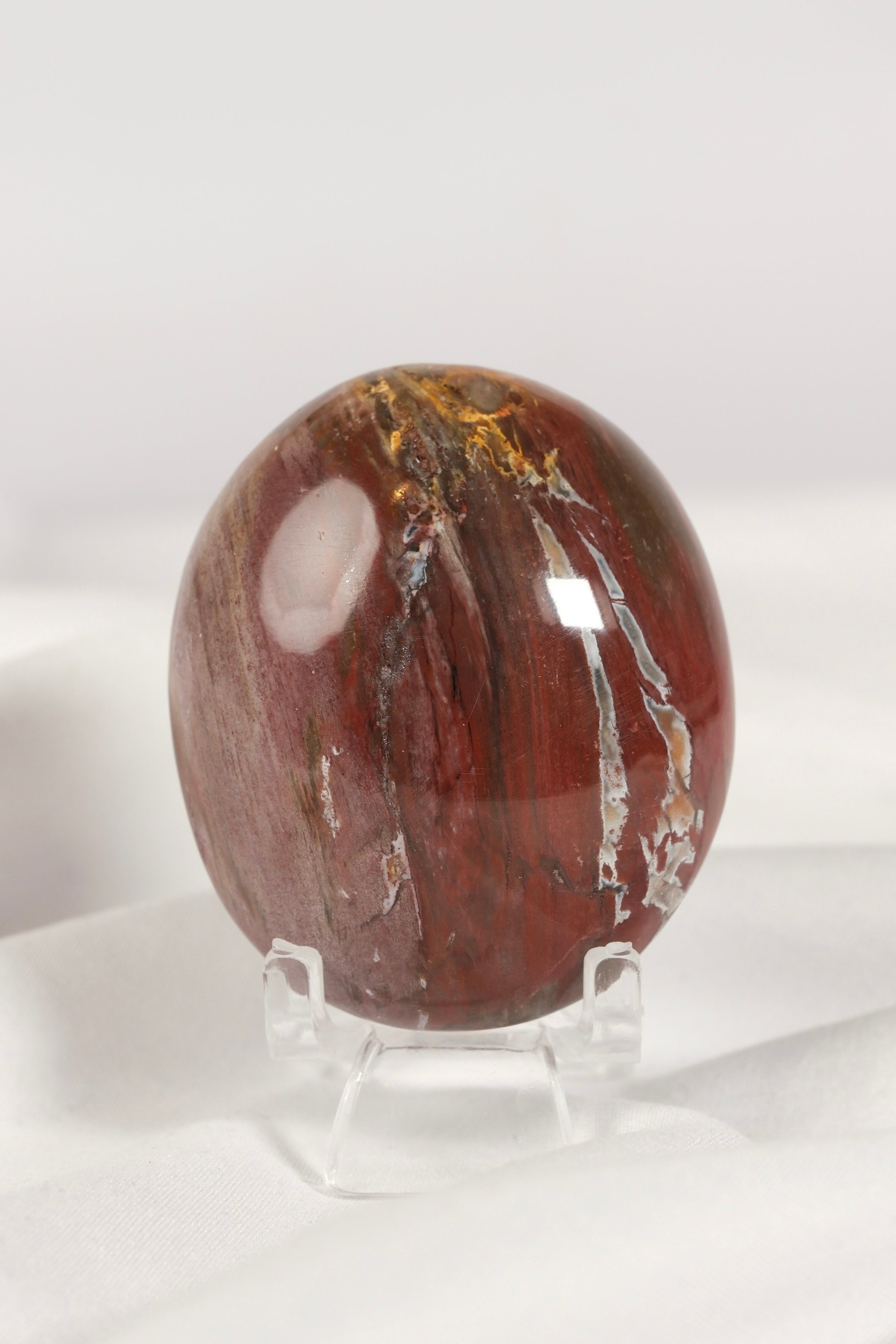 Petrified Wood Palmstone