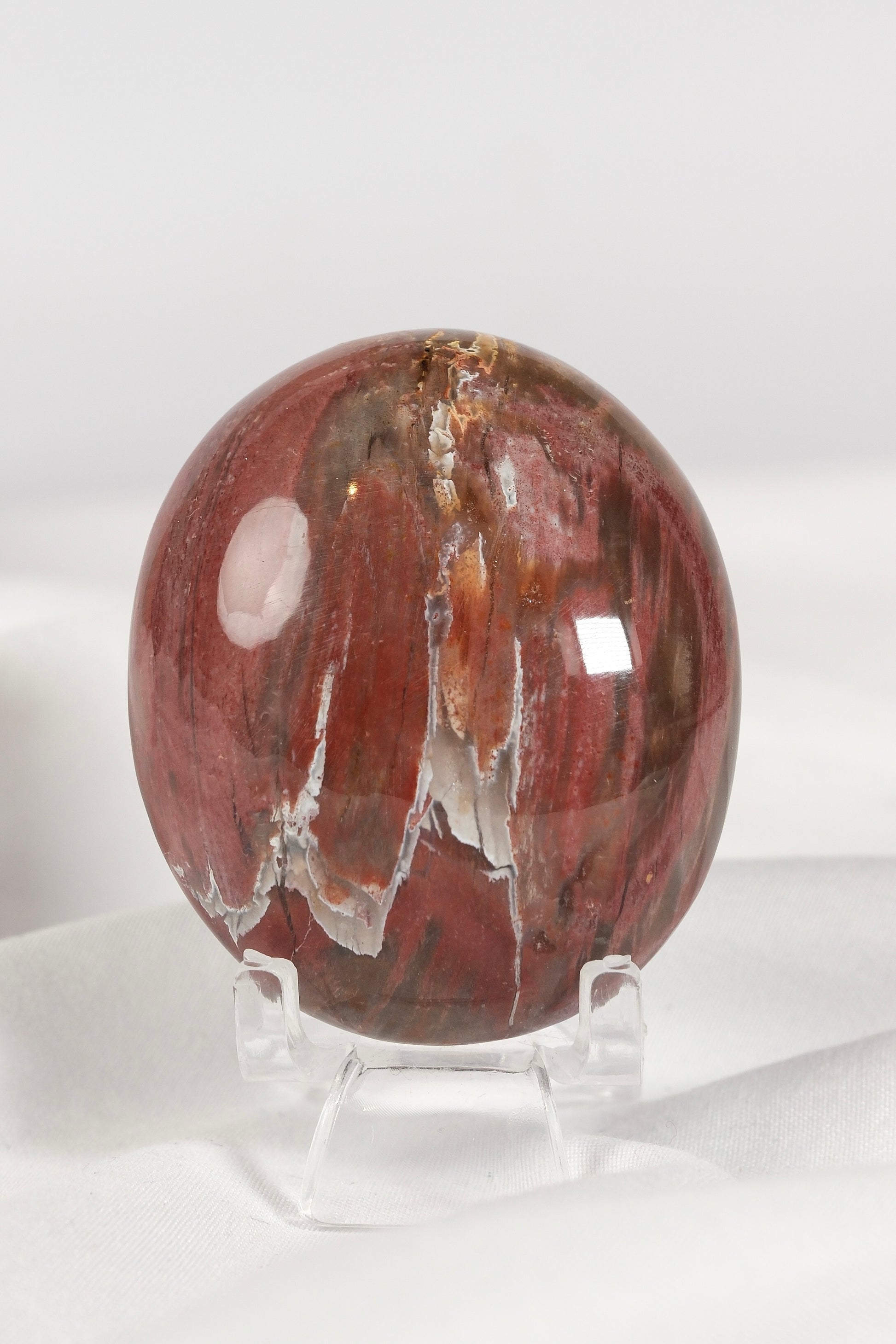 Petrified Wood Palmstone