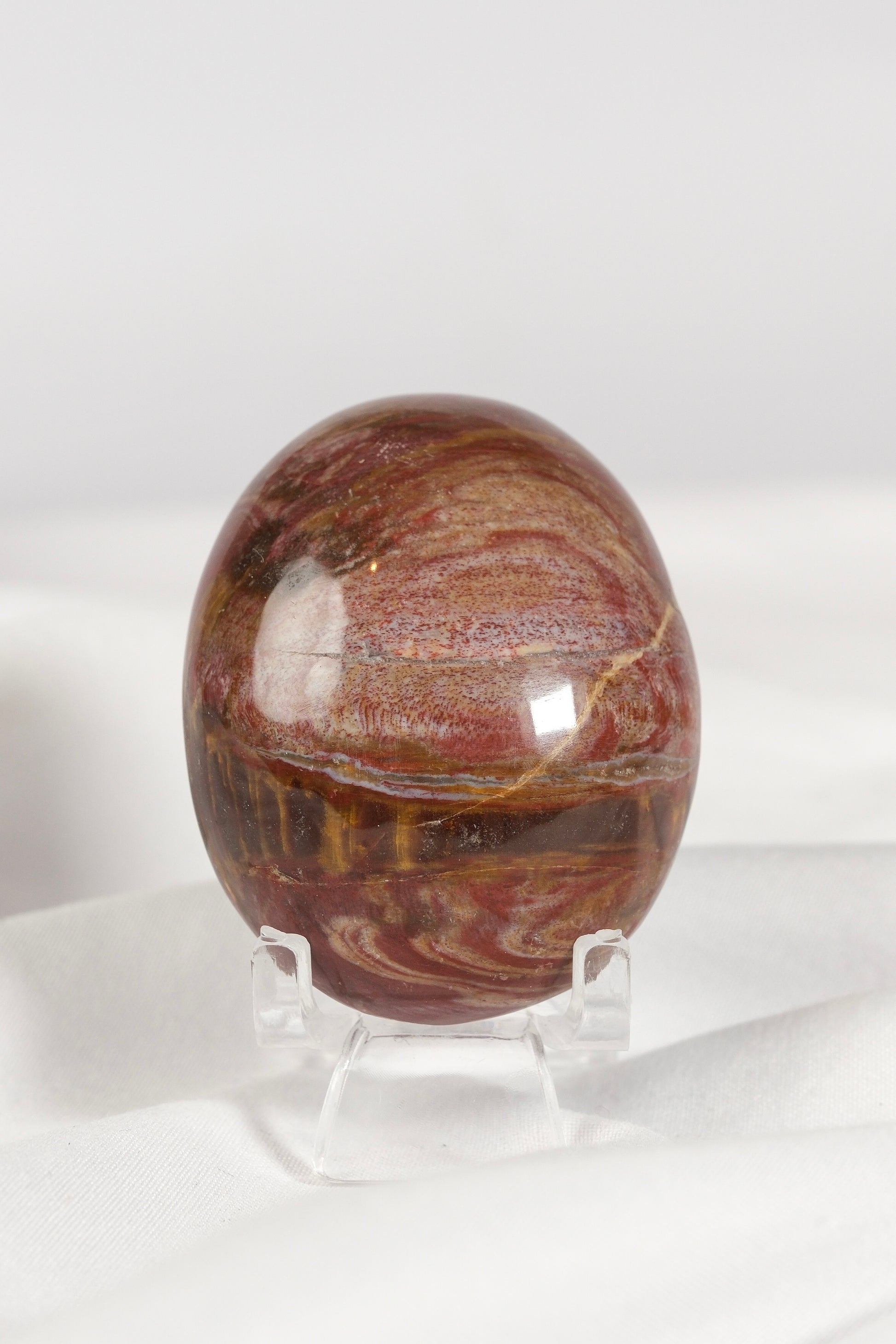 Petrified Wood Palmstone
