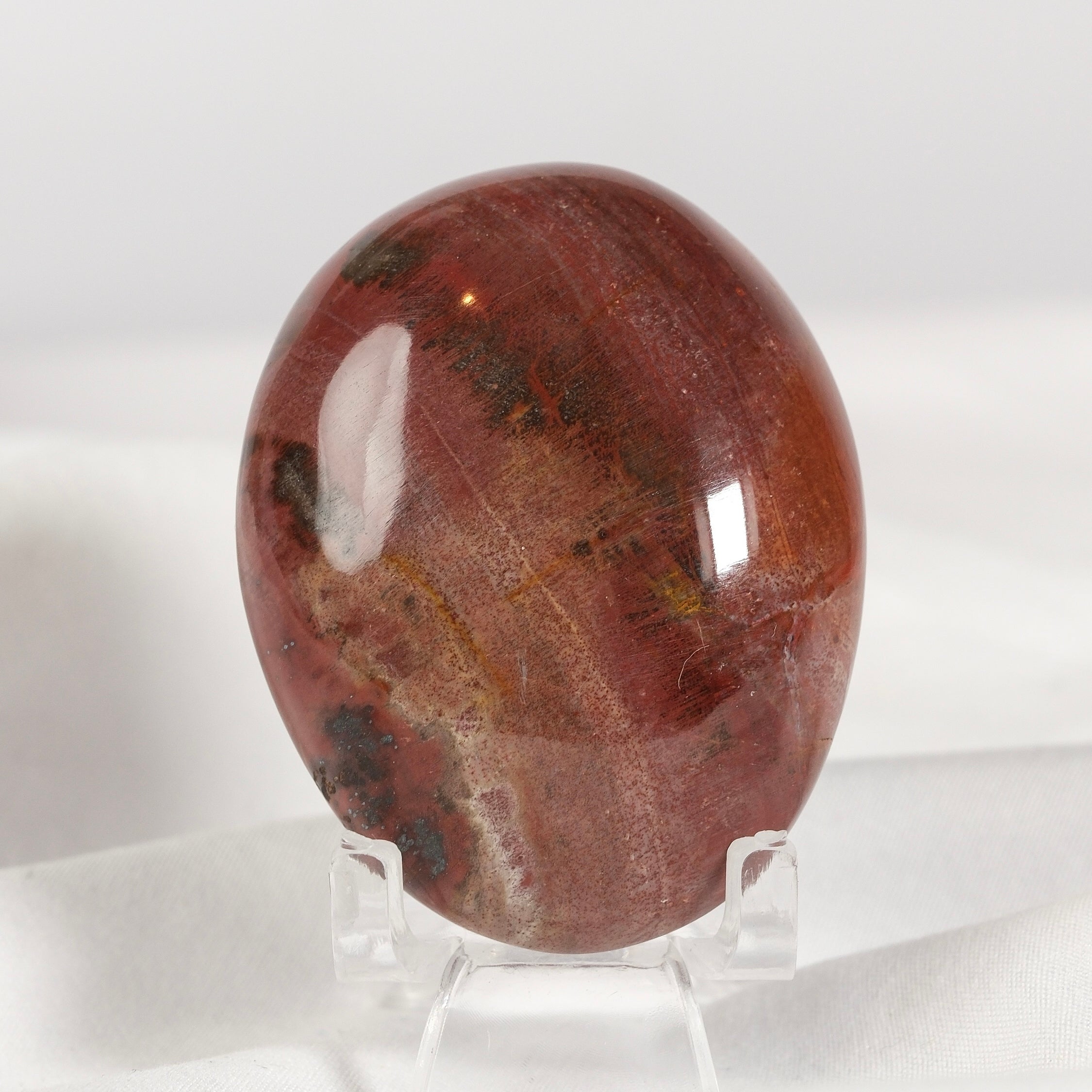 Petrified Wood Palmstone